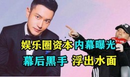 娱乐圈资本爆料,揭秘幕后真相与利益纠葛